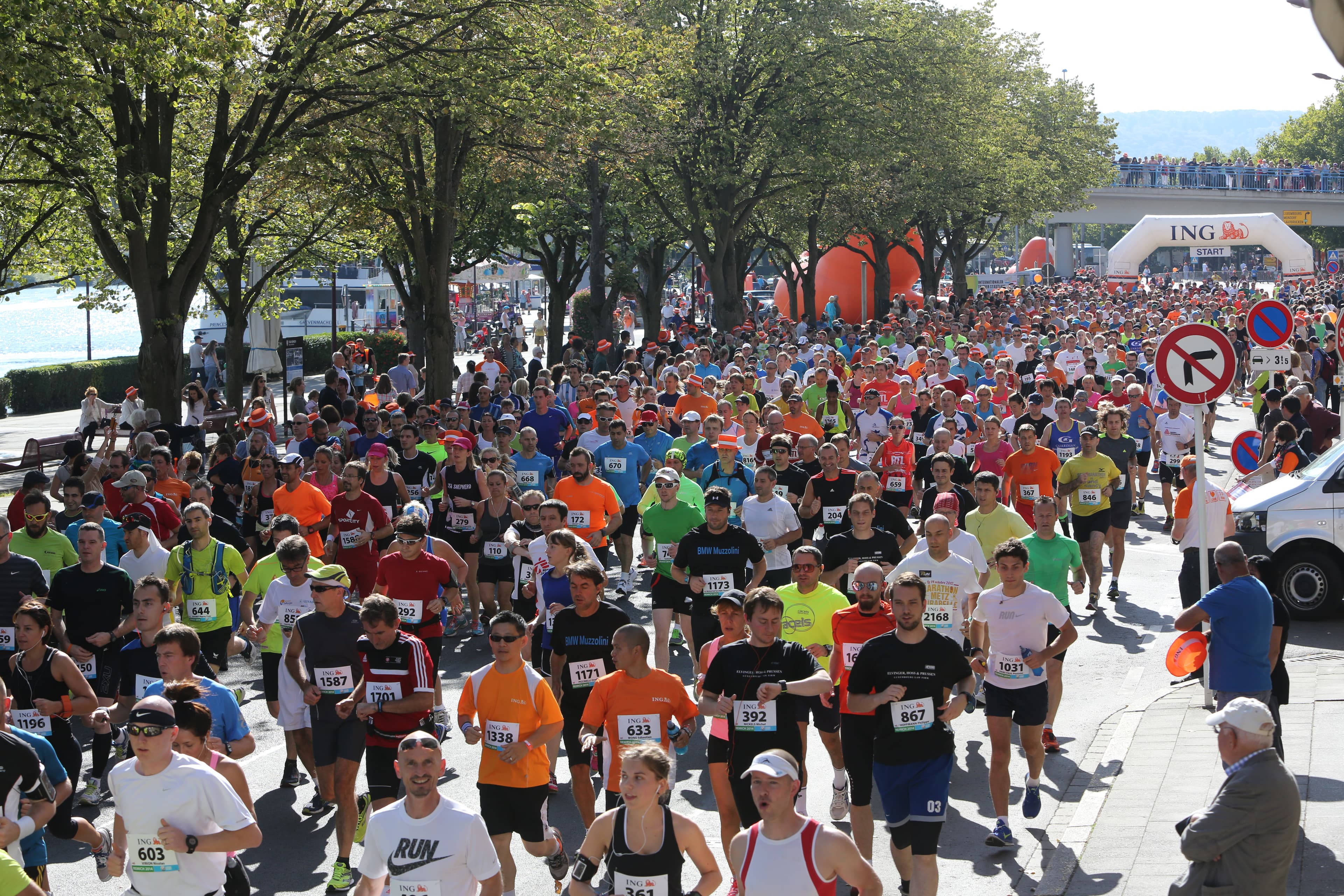 Route du Vin Halbmarathon