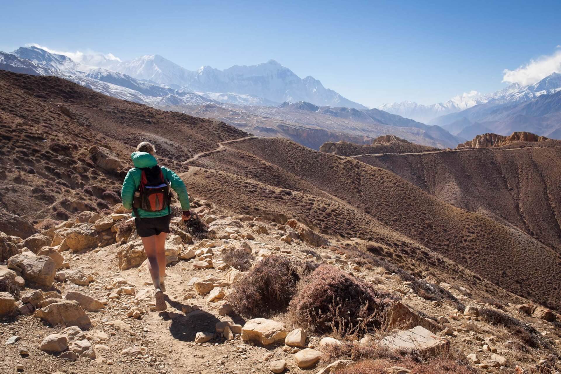 Mustang Trail Race