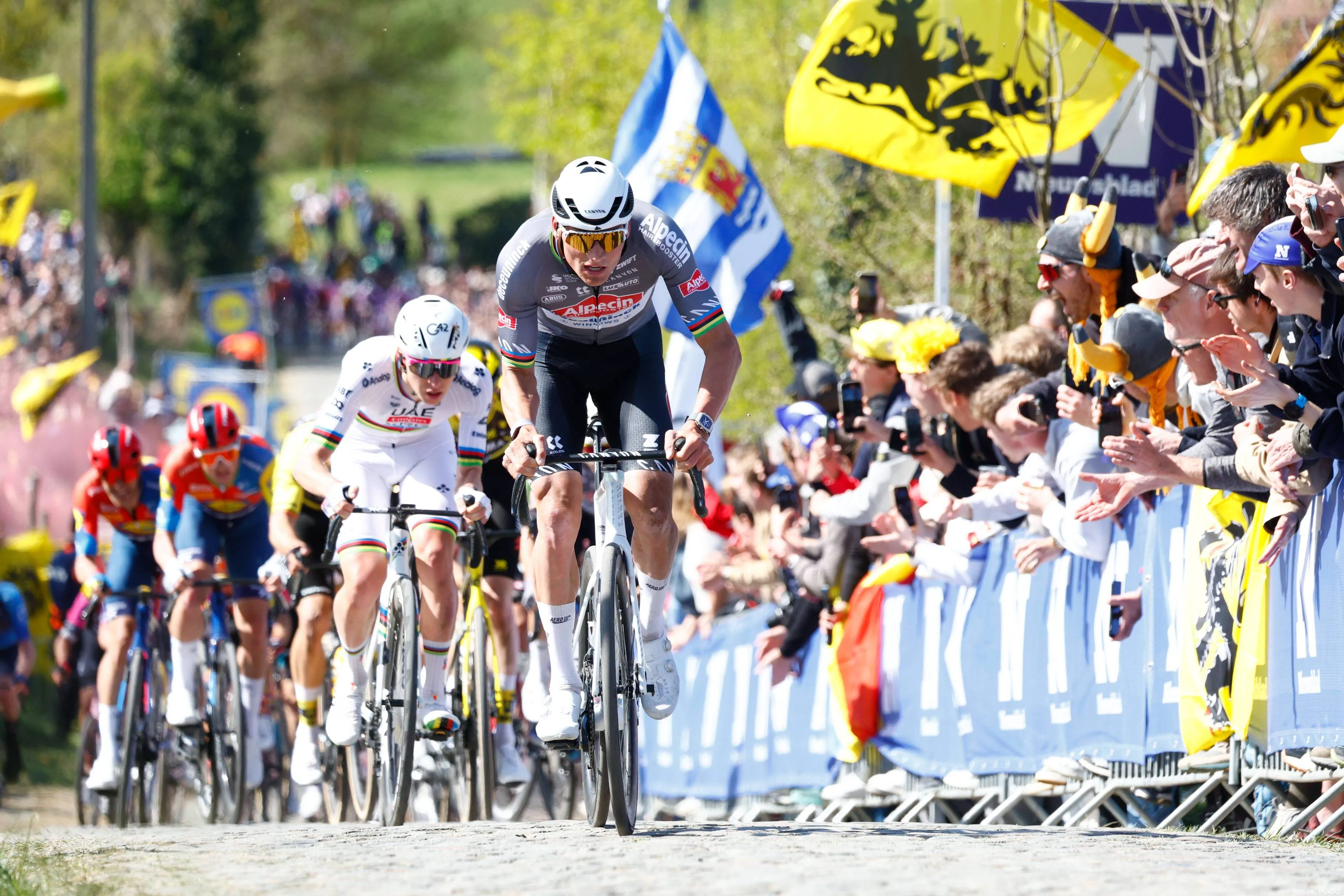 Ronde van Vlaanderen Cyclo