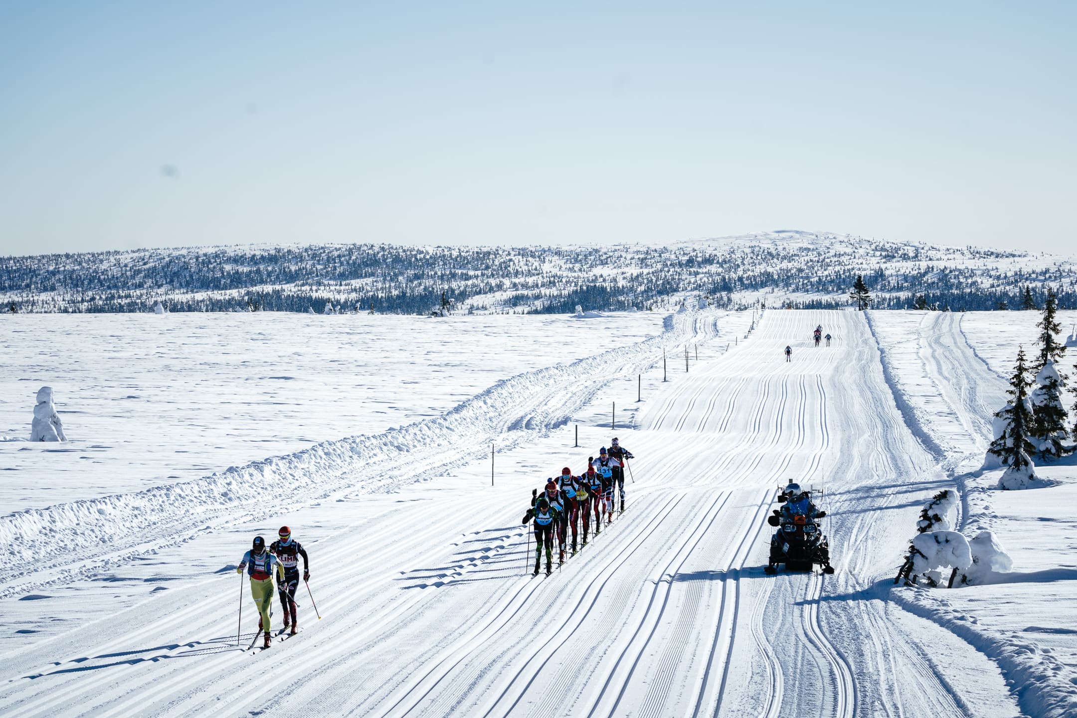 Birkebeinerrennet