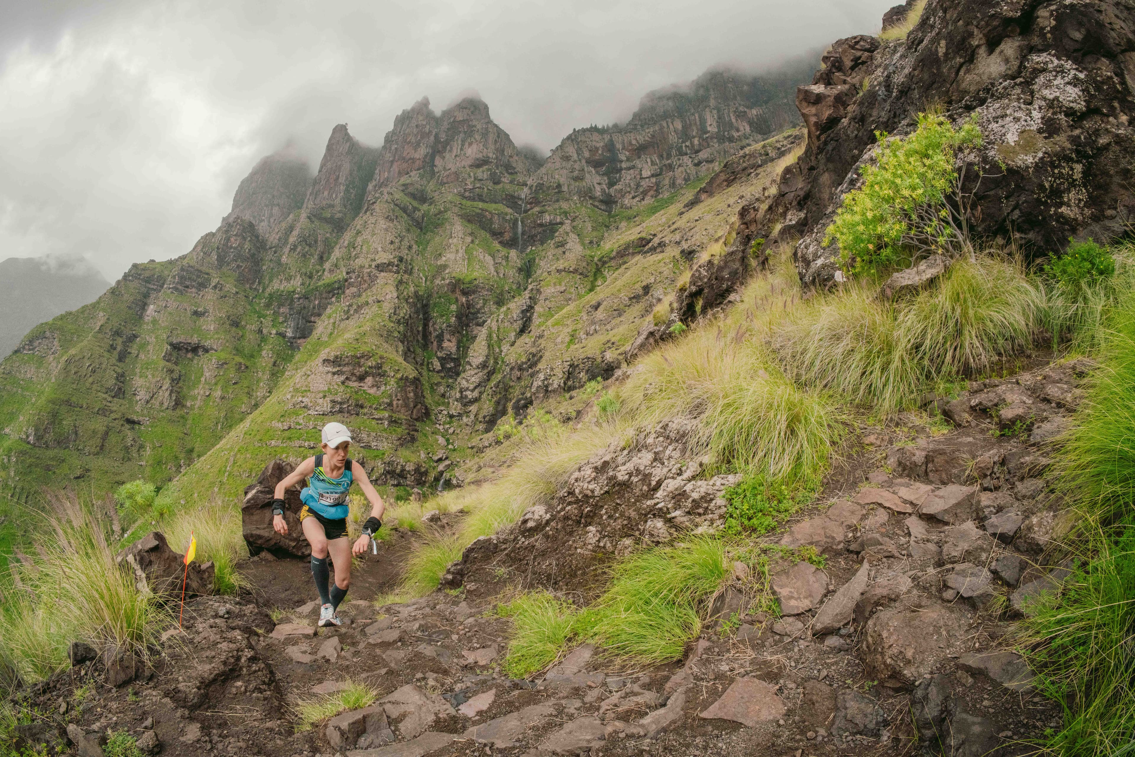 Transgrancanaria
