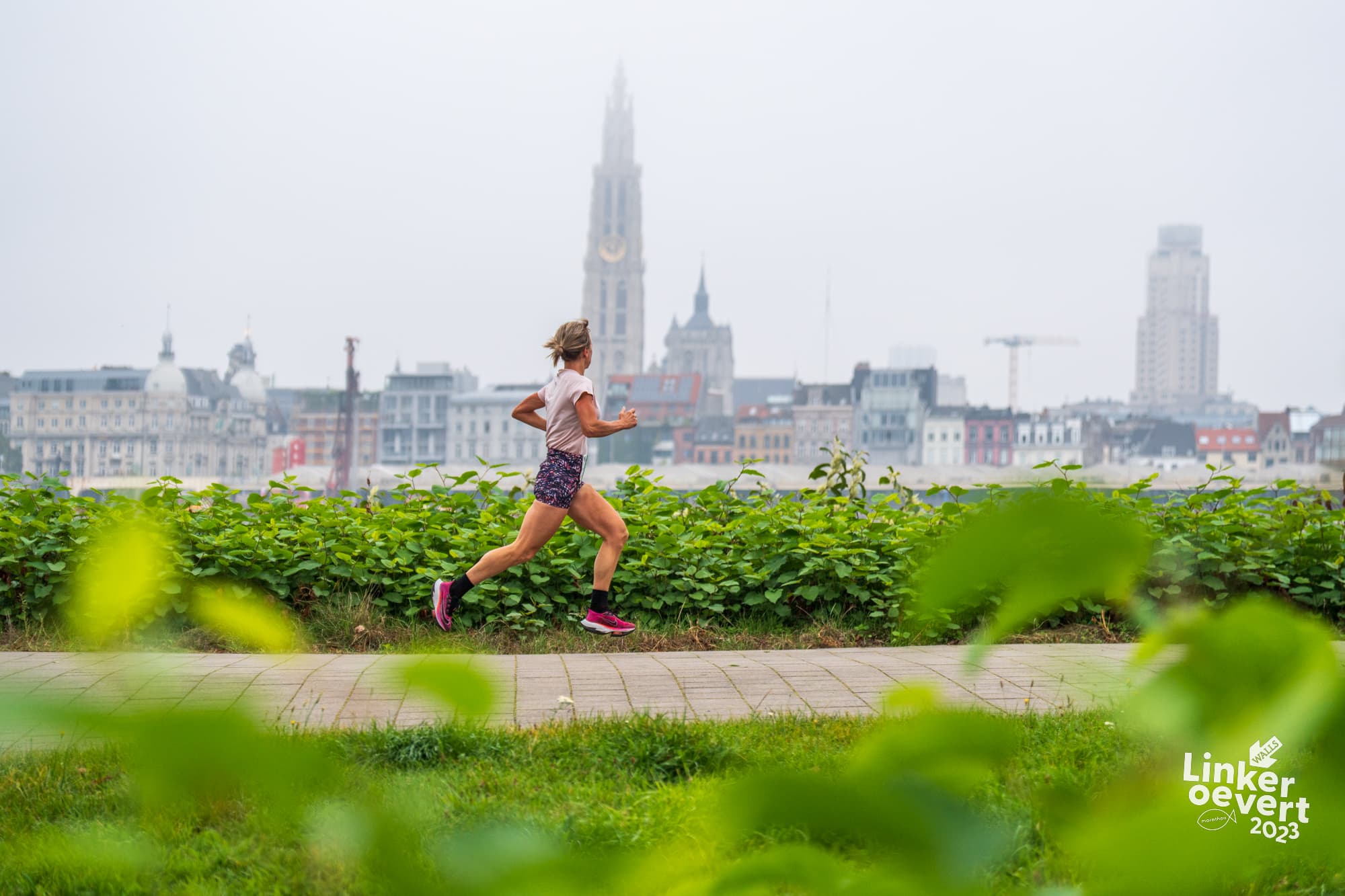 Antwerpen Halbmarathon